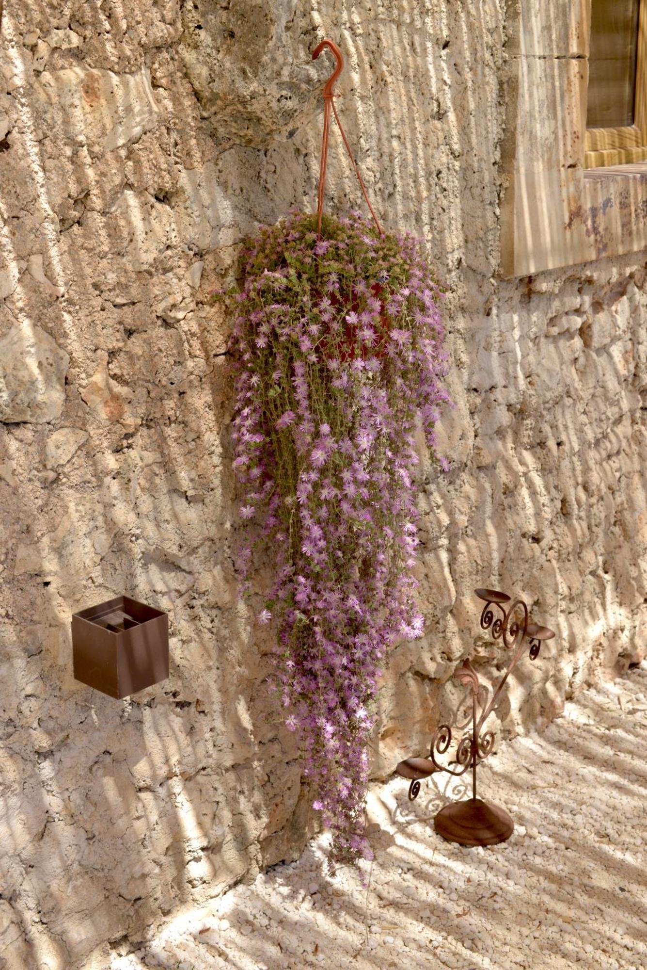 Casa Imayah Charming B&B Noto Exterior foto